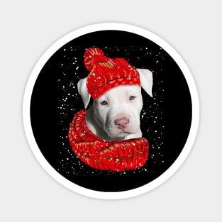 Staffordshire Bull Terrier Wearing Red Hat And Scarf In Snow Magnet